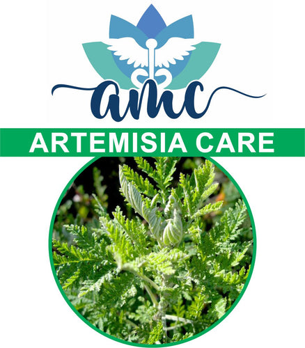 Artemisia is a well-known medicinal plant in Africa, and is one of the most important and widely used herbs in traditional medicine. www.amcmed.co.za